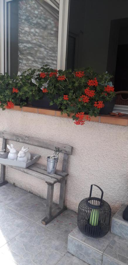 Bed and Breakfast Cote Jardin Périgueux Exteriér fotografie